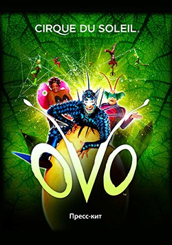 Ovo. Cirque du Soleil — билеты на шоу в Санкт-Петербурге на Яндекс Афише